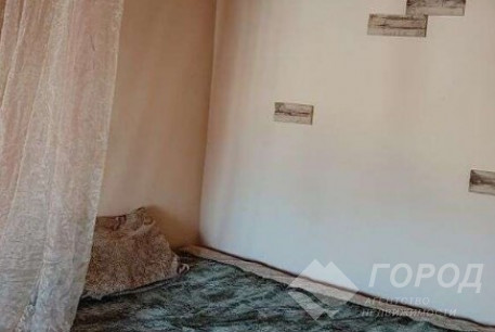 Сдам 1-кімнатну квартиру, Сосновая Горка, Научная метро, Код: 804946/1