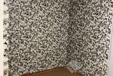 Сдам 1-кімнатну квартиру, Салтовка, Код: 805242/1