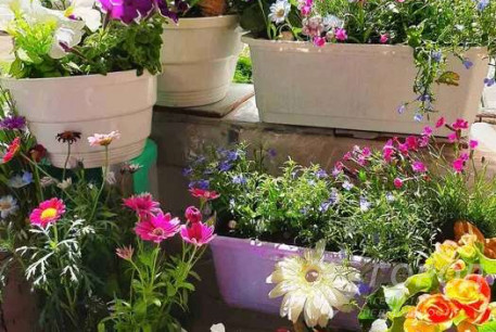 Продам 2-х кімнатну квартиру, Новые дома, Маршала Жукова метро (Дворец спорта), Код: 805256/1