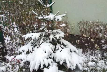 Продам 1-кімнатну квартиру, Салтовка, Французский бульвар, Код: 805257/1