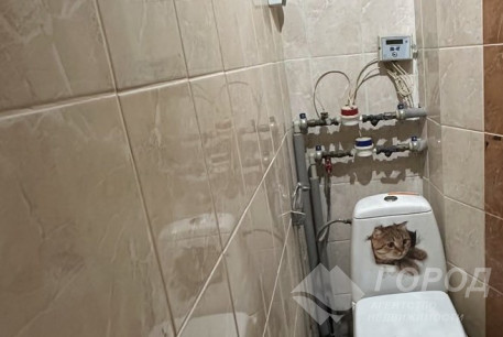 Продам 3-х кімнатну квартиру, Салтовка, 531 м/р, Код: 805270/3