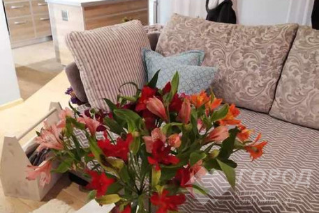 Продам 3-х кімнатну квартиру в новобудові, Северная Салтовка, Код: 805456/1