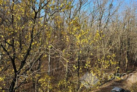 Продам 4-х кімнатну квартиру, Павлово поле, Код: 805525/1