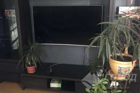 Сдам 1-кімнатну квартиру, Одесская, Код: 805572/1