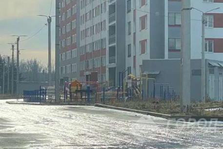 Продам 1-кімнатну квартиру в новобудові, Журавлевка, Код: 805869/1