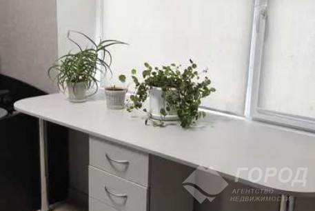 Сдам 3-х кімнатну квартиру, Пятихатки, Код: 805921/1