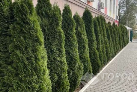 Продам гостинку, Салтовка, Академика Павлова метро, Код: 806027/8