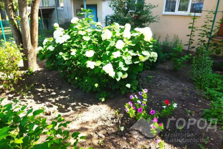 Продам 3-х кімнатну квартиру, Дергачевский р-н, Берминводы, Код: 806069/2