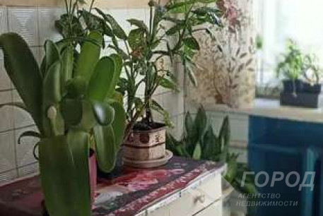 Сдам гостинку, Салтовка, Код: 806289/1