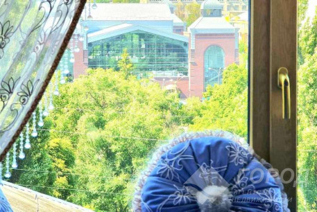 Продам 5-и кімнатну квартиру, Центр, Парк Горького, Код: 806537/1