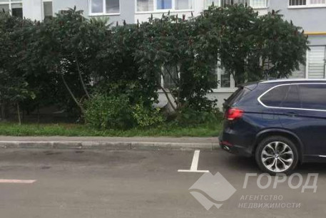 Сдам 1-кімнатну квартиру, Павлово поле, Код: 806772/1