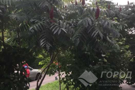 Сдам 1-кімнатну квартиру, Павлово поле, Код: 806772/1