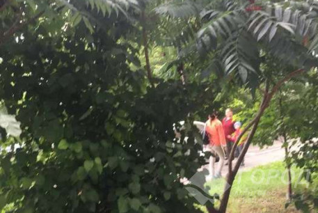 Сдам 1-кімнатну квартиру, Павлово поле, Код: 806772/1