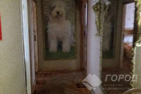 Сдам 2-х кімнатну квартиру, Холодная Гора, Холодная Гора метро, Код: 807263/1