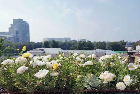 Сдам 3-х кімнатну квартиру, Центральный рынок, Центральный Рынок метро, Код: 807268/1