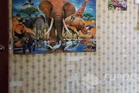 Сдам 2-х кімнатну квартиру, Новые дома, Код: 807812/1