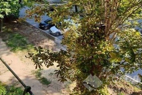 Продам 1-кімнатну квартиру, Павлово поле, 23 Августа метро, Код: 807839/1