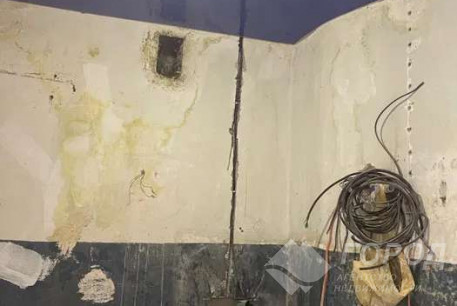 Продам 1-кімнатну квартиру, Салтовка, Героев Труда метро, Код: 807896/1