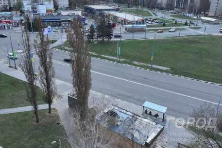 Сдам 1-кімнатну квартиру, Алексеевка, Алексеевская метро, Код: 807915/1