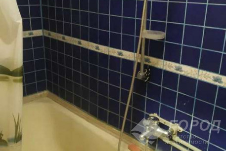 Сдам 1-кімнатну квартиру, Центр, Код: 807990/1