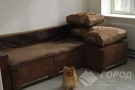 Сдам 1-кімнатну квартиру, Холодная Гора, Код: 808249/1