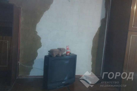 Сдам 1-кімнатну квартиру, Салтовка, 603 м/р, Код: 808289/1