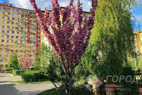 Сдам 1-кімнатну квартиру в новобудові, Журавлевка, Киевская метро, Код: 808609/1