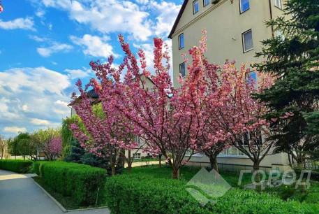 Сдам 1-кімнатну квартиру в новобудові, Журавлевка, Киевская метро, Код: 808609/1