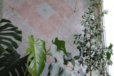 Продам 3-х кімнатну квартиру, Новые дома, Маршала Жукова метро (Дворец спорта), Код: 809178/1