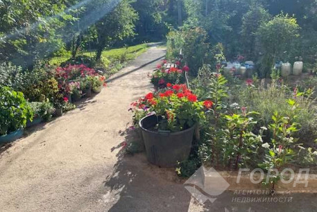 Сдам 2-х кімнатну квартиру, Алексеевка, Алексеевская метро, Код: 809272/1