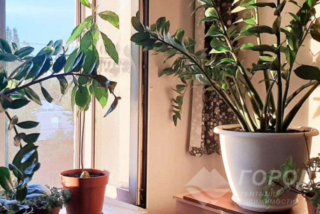 Продам 3-х кімнатну квартиру, Новые дома, Армейская метро (Советской Армии), Код: 809369/1