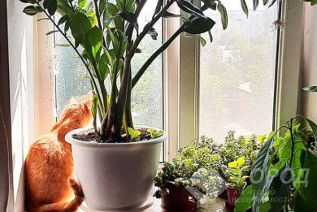 Продам 3-х кімнатну квартиру, Новые дома, Армейская метро (Советской Армии), Код: 809369/1