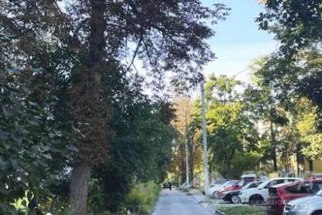 Продам 3-х кімнатну квартиру, Новые дома, Армейская метро (Советской Армии), Код: 809369/1