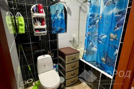 Сдам 1-кімнатну квартиру, Павлово поле, Код: 809429/1