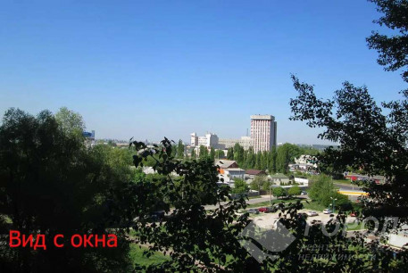 Сдам 1-кімнатну квартиру, Салтовка, Академика Павлова метро, Код: 809502/1