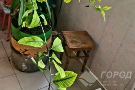 Продам 3-х кімнатну квартиру, Алексеевка, Код: 809612/1