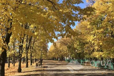 Продам 3-х кімнатну квартиру, Новые дома, Код: 810226/1