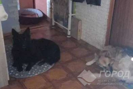 Сдам 2-х кімнатну квартиру, Салтовка, Код: 810330/1