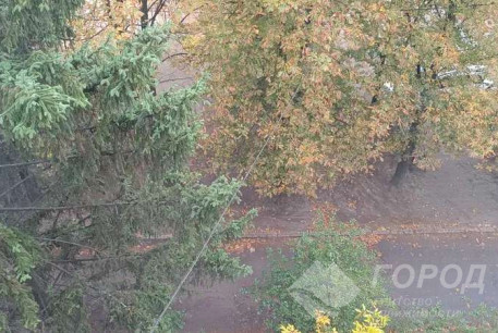 Сдам 2-х кімнатну квартиру, Новые дома, Коммунальный рынок, Код: 810544/1