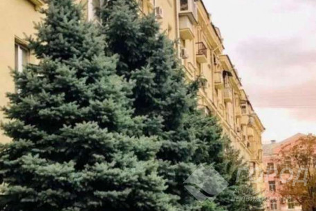 Сдам 1-кімнатну квартиру, Центр, Площадь Конституции метро (Советская), Код: 810678/1