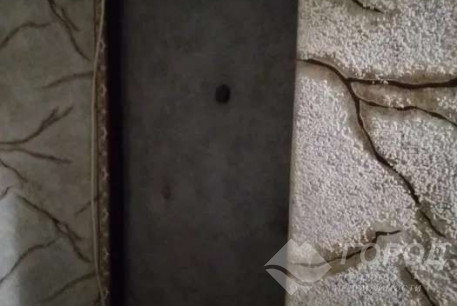 Сдам 2-х кімнатну квартиру, Новые дома, Маршала Жукова метро (Дворец спорта), Код: 810738/1