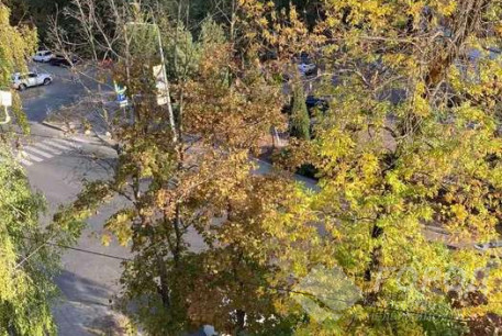 Продам 2-х кімнатну квартиру, Павлово поле, Ботанический сад метро, Код: 810824/1