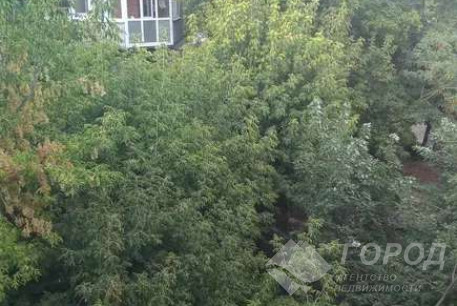 Сдам 2-х кімнатну квартиру, Центр, Исторический Музей метро, Код: 811002/1