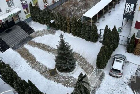 Сдам 2-х кімнатну квартиру, Салтовка, Академика Павлова метро, Код: 811151/1