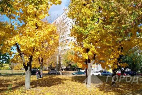 Продам 2-х кімнатну квартиру, Холодная Гора, Холодная Гора метро, Код: 811213/1