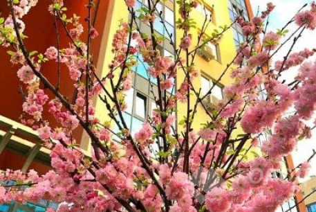 Сдам 1-кімнатну квартиру в новобудові, Павлово поле, Код: 811275/1