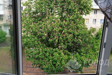 Продам гостинку, Павлово поле, 23 Августа метро, Код: 811283/1