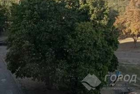 Сдам 1-кімнатну квартиру, Новые дома, Коммунальный рынок, Код: 811328/2