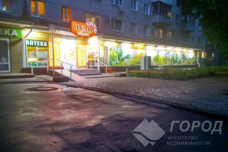 Сдам гостинку, Гагарина проспект, Защитников Украины метро (Площадь Восстания), Код: 811603/1