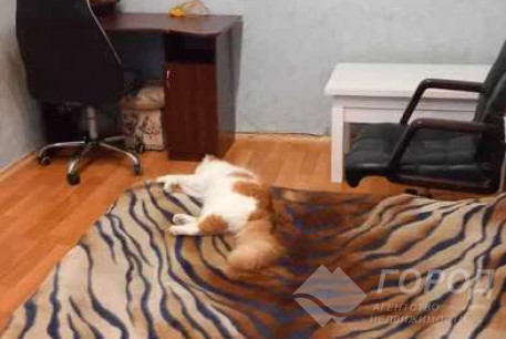 Сдам 3-х кімнатну квартиру, Завод Шевченко, Код: 811729/1